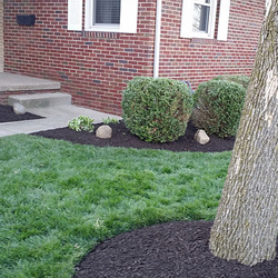Landscaping Services
